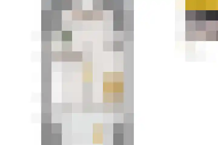 Marskramer 17 Wijchen thumbnail 9