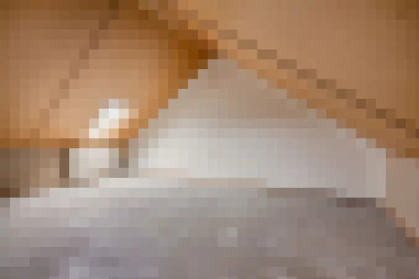 Marskramer 20 Beuningen Gld thumbnail 20