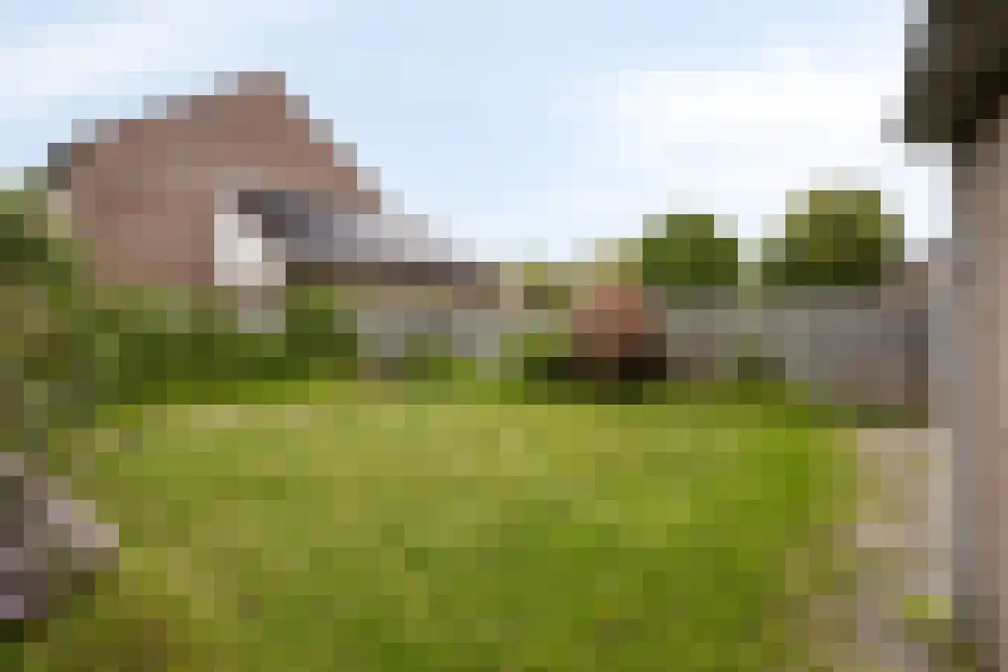 Marskramer 20 Beuningen Gld thumbnail 25