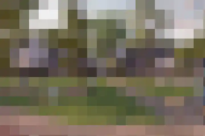 Marskramer 21 Wijchen thumbnail 8