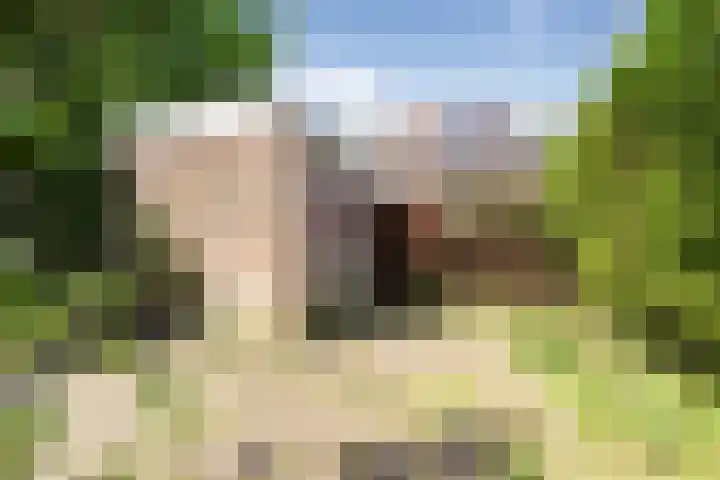 Marskramer 22 Amstelveen thumbnail 12