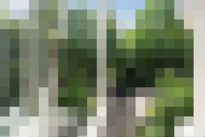 Marskramer 22 Amstelveen thumbnail 23