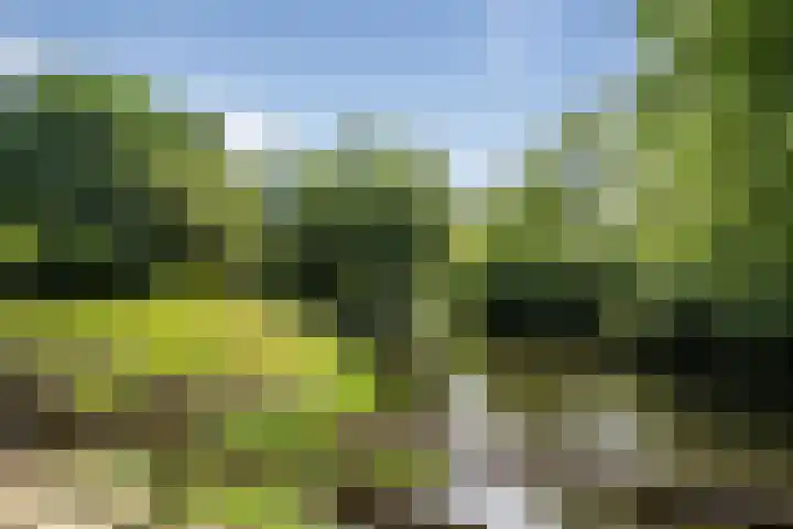 Marskramer 22 Amstelveen thumbnail 30