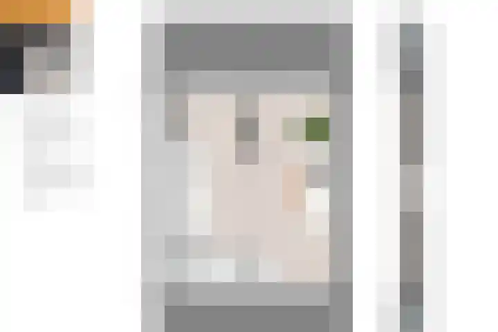 Marskramer 23 Wijchen thumbnail 9