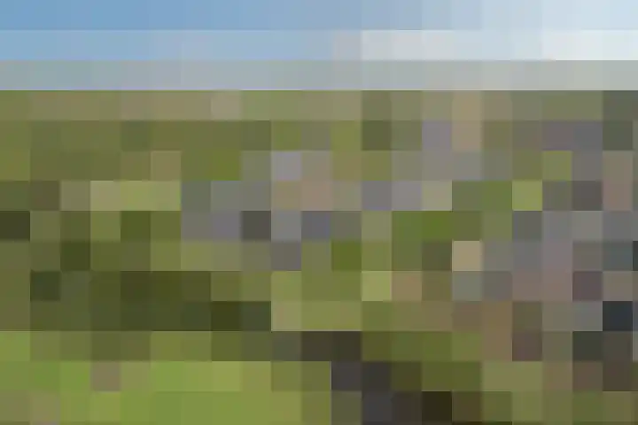 Marskramer 29 Wijchen