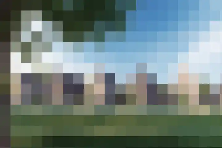 Marskramer 29 Wijchen thumbnail 11