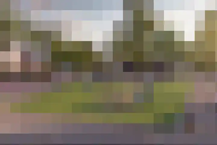 Marskramer 3 Wijchen thumbnail 10