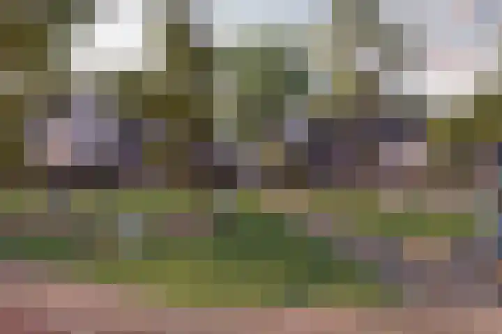 Marskramer 3 Wijchen thumbnail 12