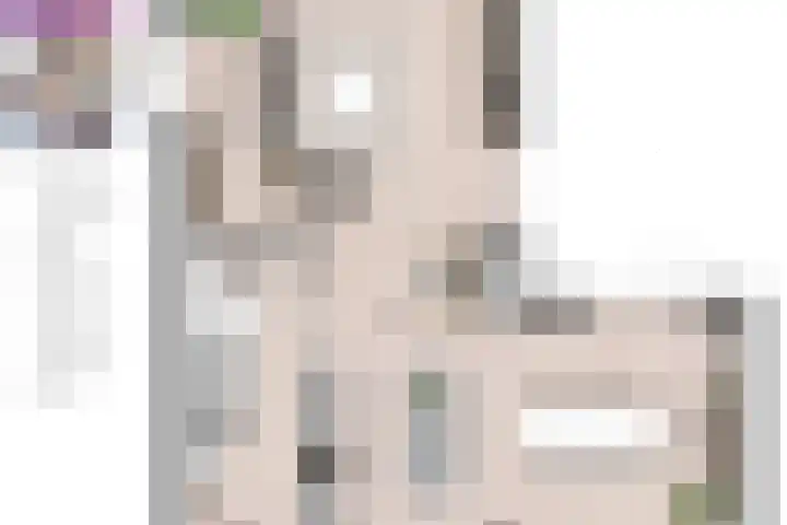 Marskramer 3 Wijchen foto 3