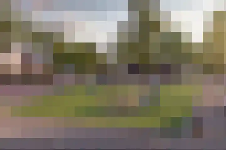Marskramer 33 Wijchen thumbnail 4