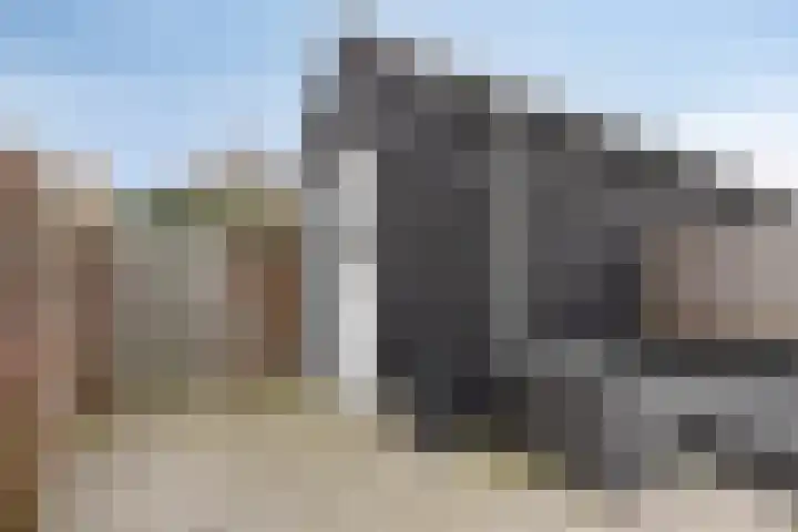 Marskramer 43 Wijchen thumbnail 22