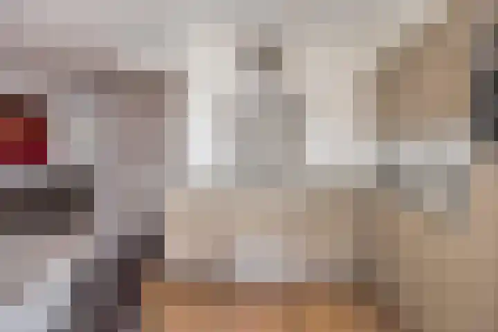 Marskramer 51 Wijchen thumbnail 13