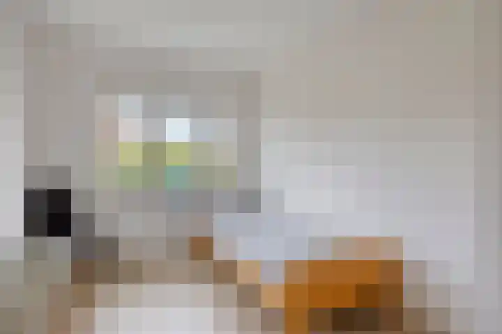 Marskramer 51 Wijchen thumbnail 19