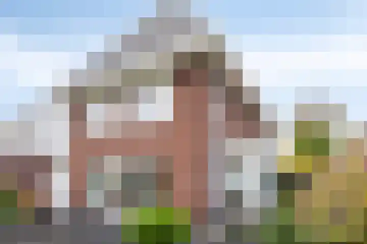 Marskramer 51 Wijchen thumbnail 26