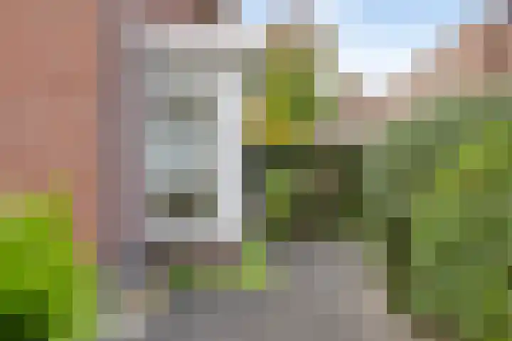 Marskramer 51 Wijchen thumbnail 27
