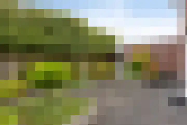 Marskramer 51 Wijchen thumbnail 28