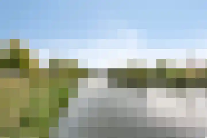 Marskramer 51 Wijchen thumbnail 34