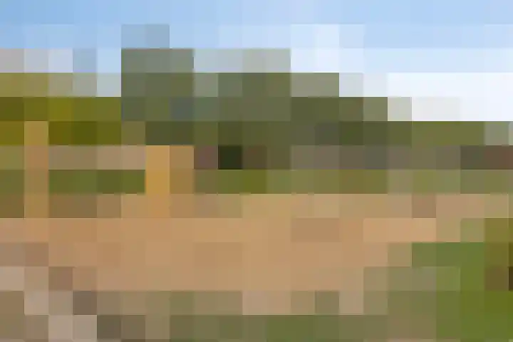 Marskramer 51 Wijchen thumbnail 35