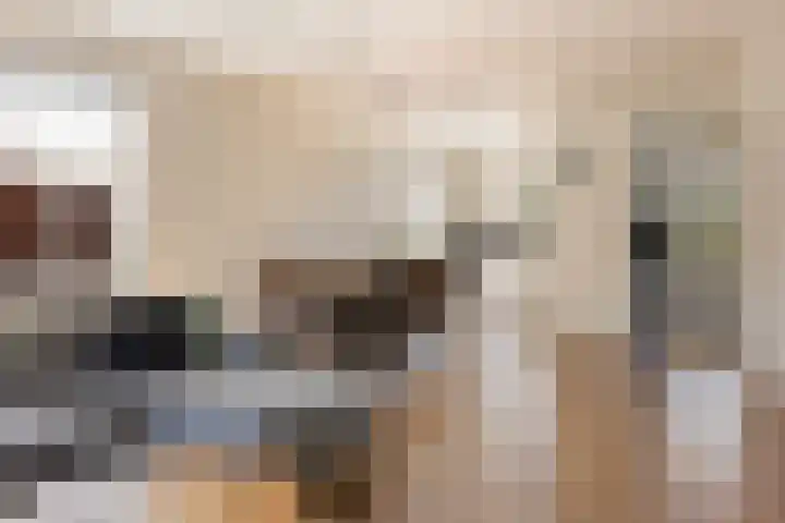 Marskramer 67 Wijchen thumbnail 10