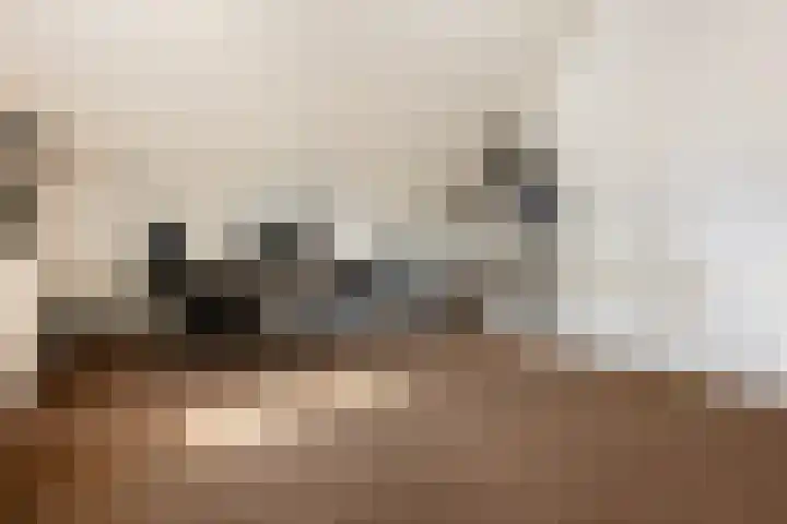 Marskramer 67 Wijchen thumbnail 24