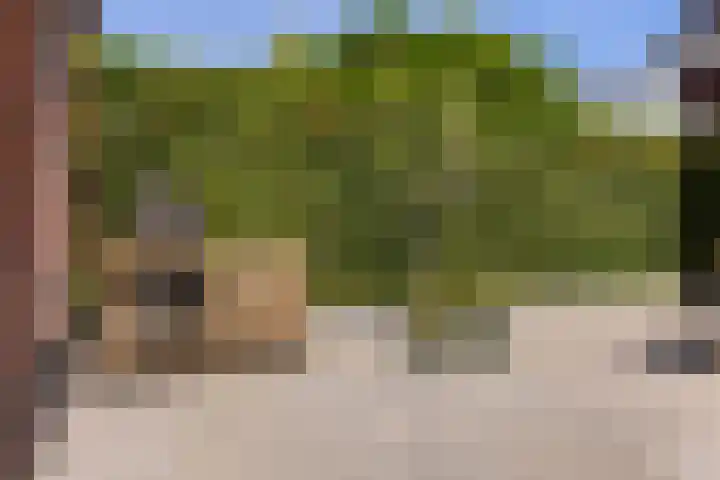 Marskramer 67 Wijchen thumbnail 28