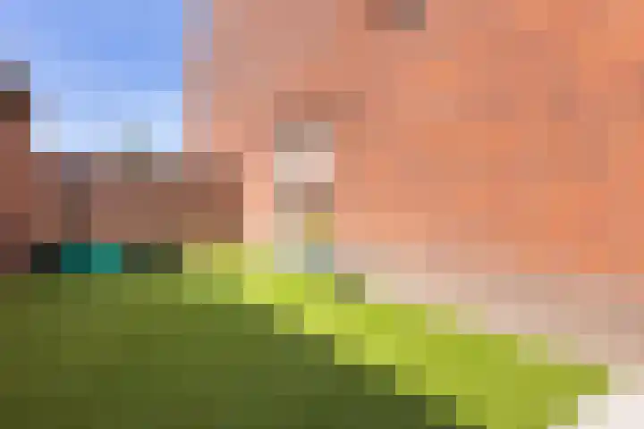 Marskramer 67 Wijchen thumbnail 29