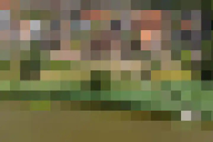 Marskramer 67 Wijchen thumbnail 33