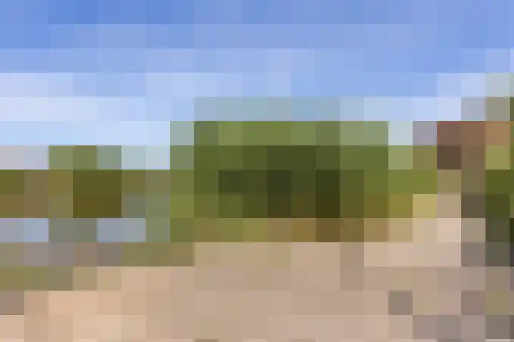 Marskramer 67 Wijchen thumbnail 34