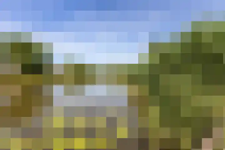 Marskramer 67 Wijchen thumbnail 35