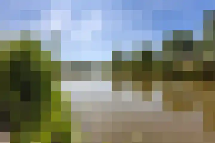 Marskramer 67 Wijchen thumbnail 36