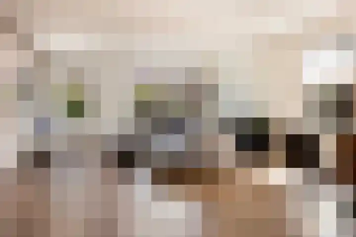 Marskramer 67 Wijchen thumbnail 5