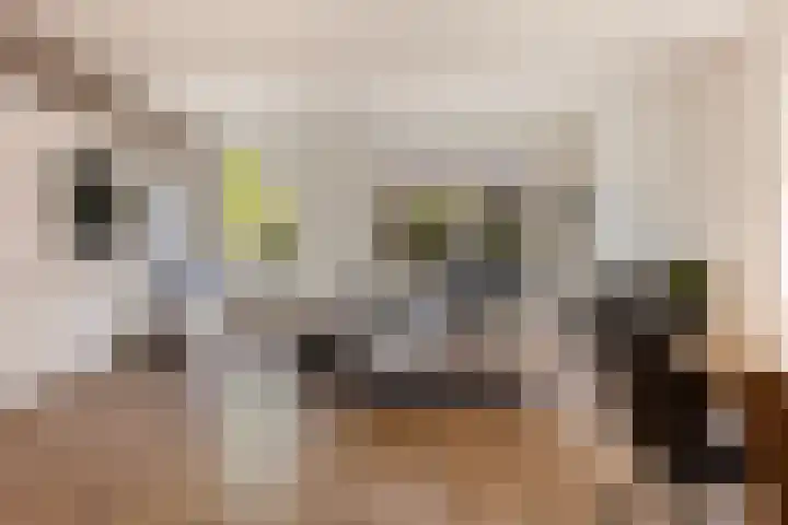 Marskramer 67 Wijchen thumbnail 6