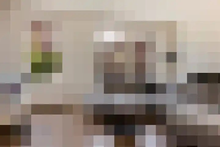 Marskramer 67 Wijchen thumbnail 7