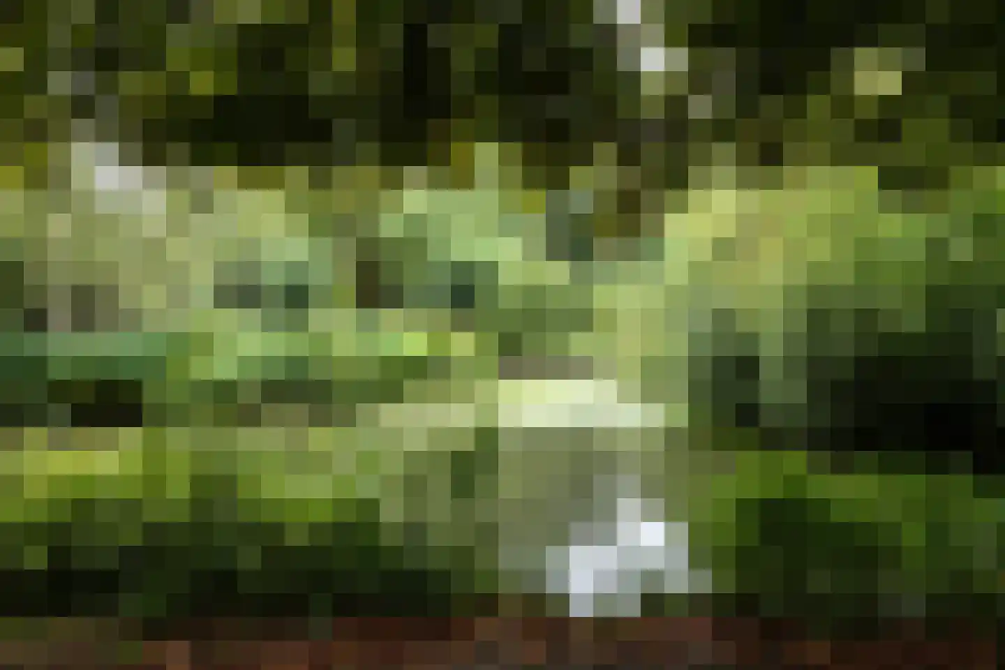 Marskramer 8 Amstelveen thumbnail 24