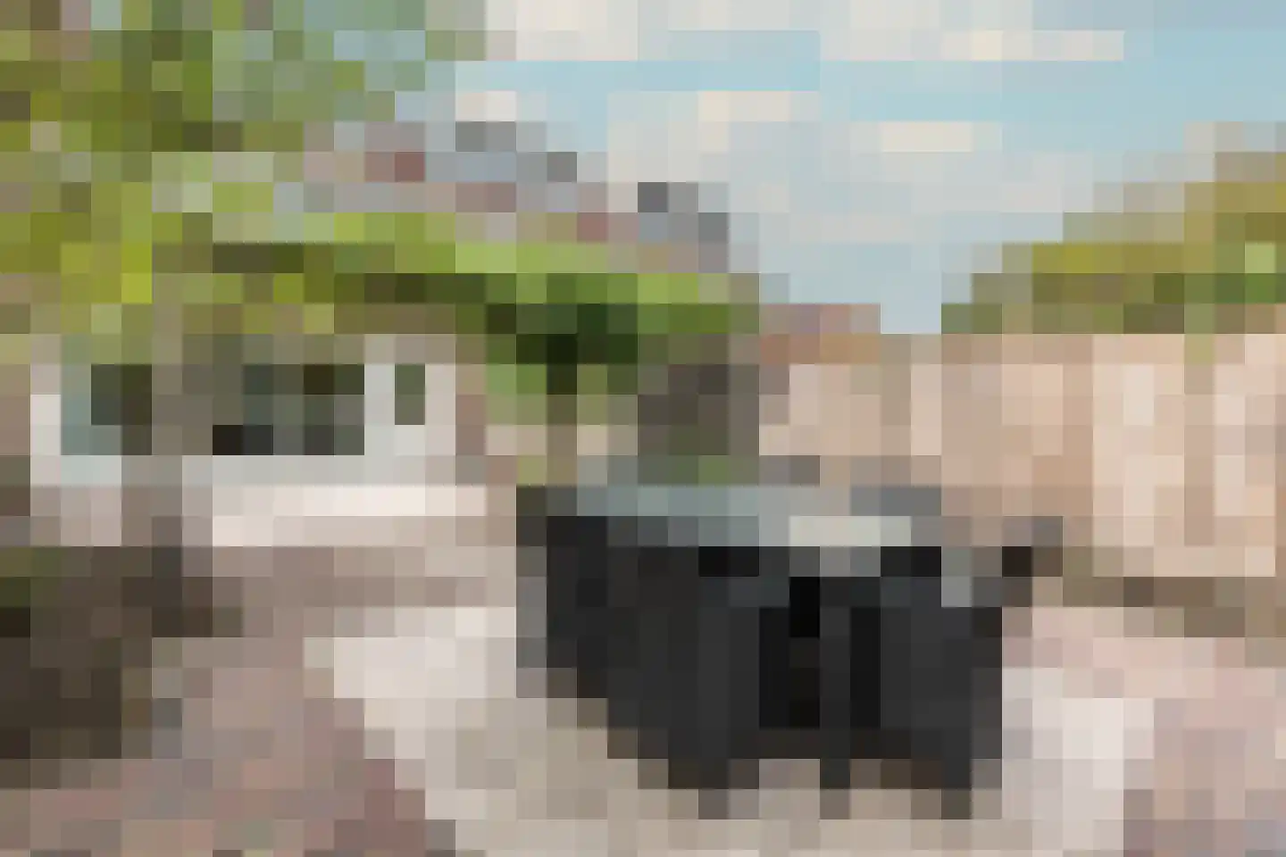 Marskramer 8 Amstelveen thumbnail 9