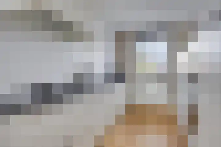 Marskramer 94 Wijchen thumbnail 15