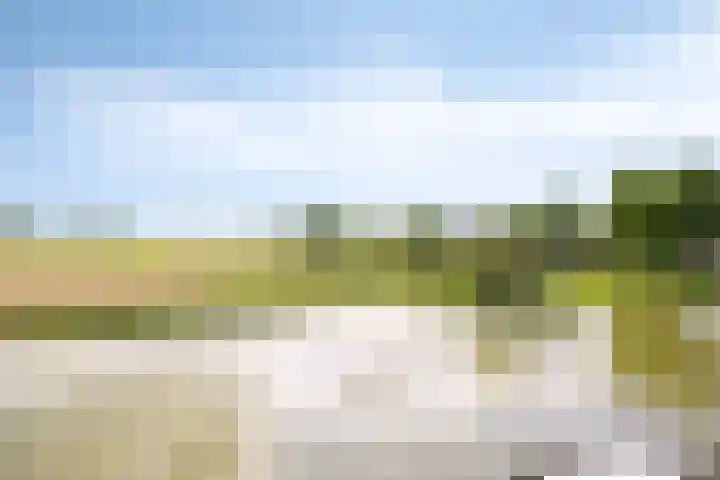 Marskramer 94 Wijchen thumbnail 21