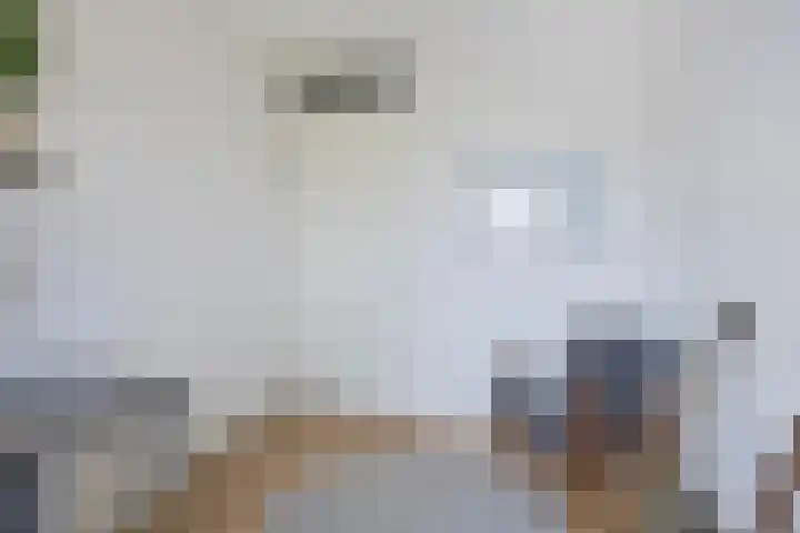 Marskramer 94 Wijchen thumbnail 23