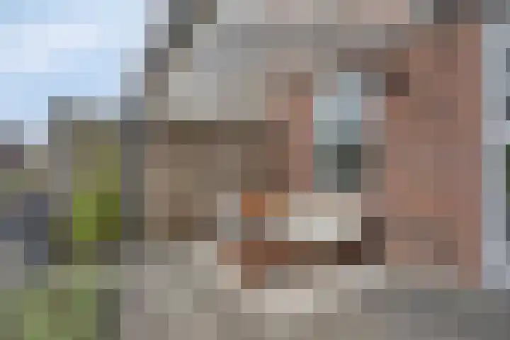 Marskramer 94 Wijchen thumbnail 27