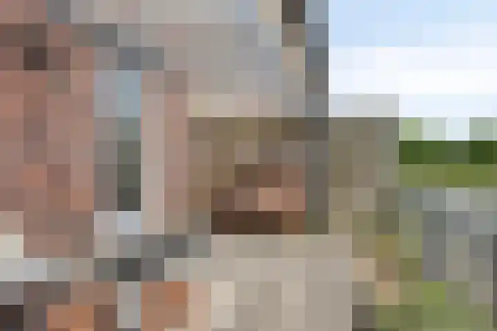 Marskramer 94 Wijchen thumbnail 28