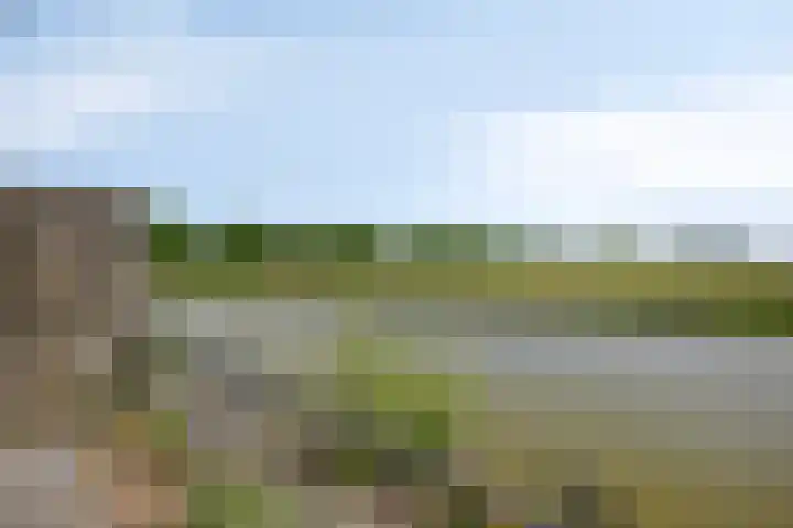 Marskramer 94 Wijchen thumbnail 29