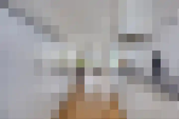 Marskramer 94 Wijchen thumbnail 4