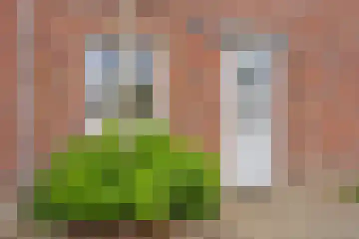 Marskramer 94 Wijchen thumbnail 7