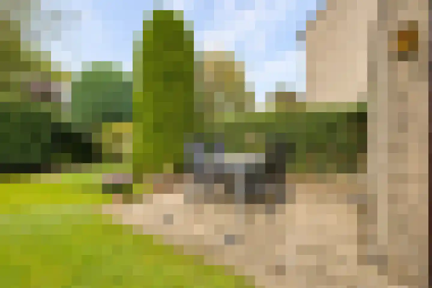Marskramersbaan 25 Bunnik thumbnail 47