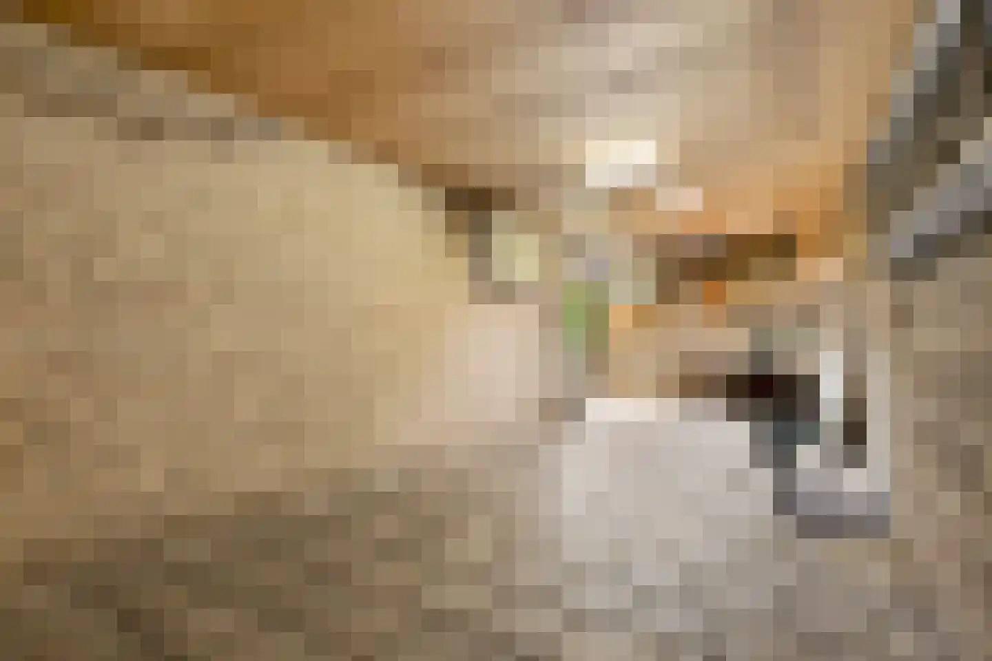 Marskramersbaan 25 Bunnik thumbnail 50