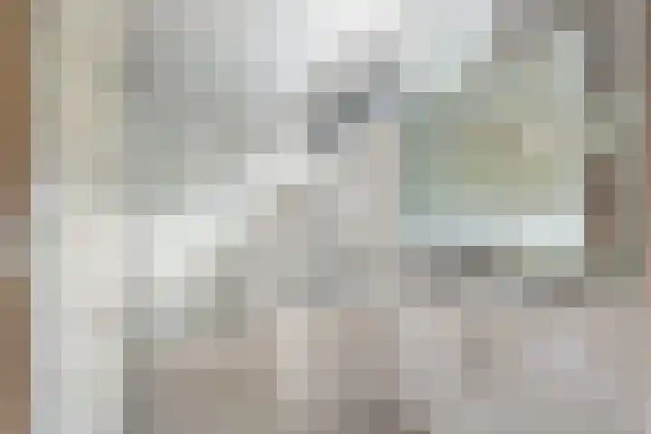 Marskramersbaan 6 Bunnik thumbnail 18