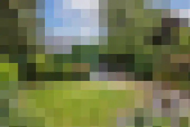 Marskramersbaan 6 Bunnik thumbnail 25
