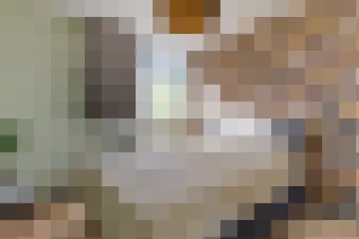 Marskramersgilde 9 Houten thumbnail 12