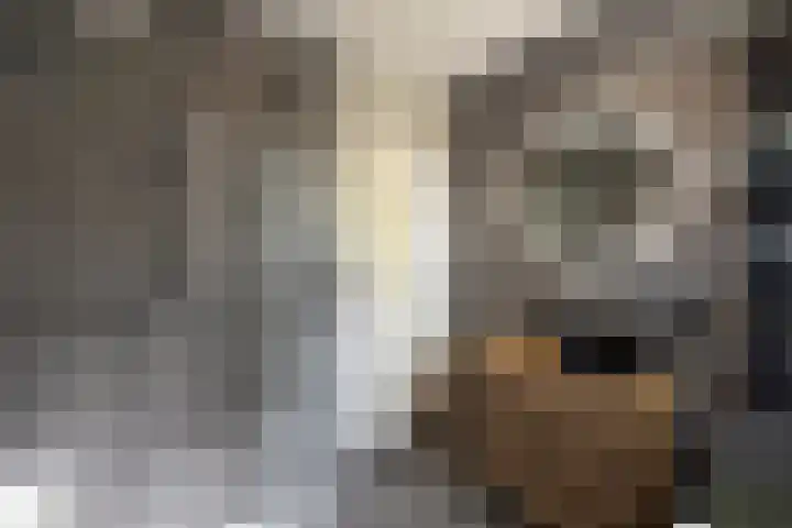 Marskramersgilde 9 Houten thumbnail 14