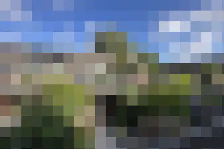 Marskramersgilde 9 Houten thumbnail 23